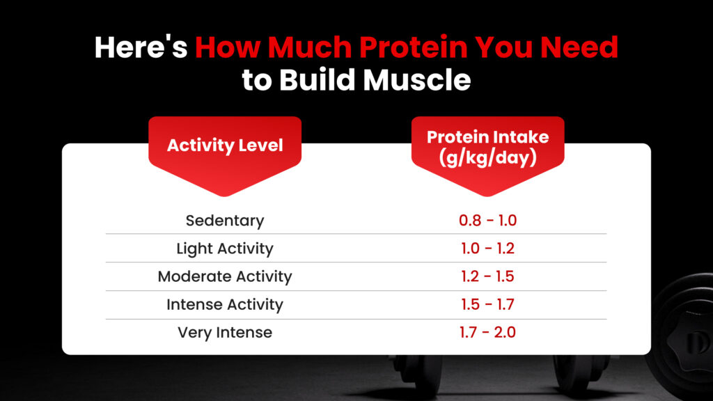 Protein Intake to Build Muscle